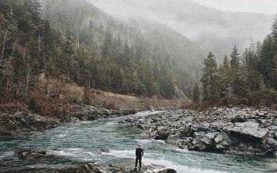 တိုင်းရင်းသား လက်နက်ကိုင် ၁၂ ဖွဲ့ ပူးတွဲစစ်ဆင်ရေး သဘောတူ